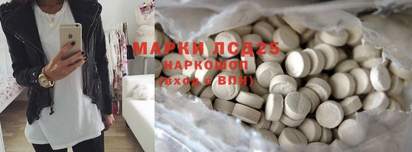 индика Баксан