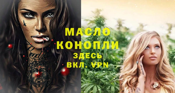 индика Баксан