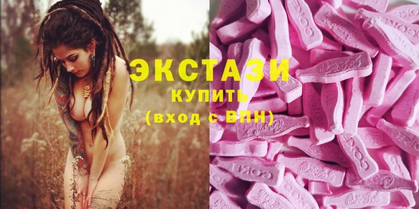 индика Баксан