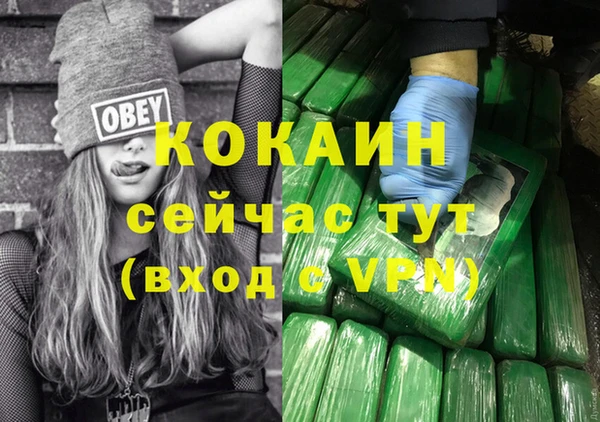 индика Баксан