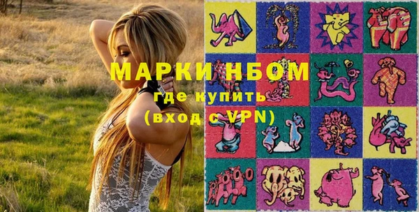 индика Баксан