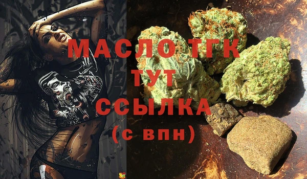 индика Баксан
