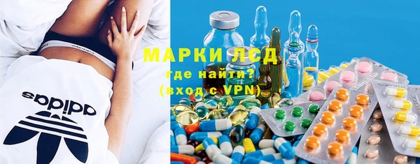 индика Баксан